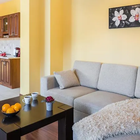 Apartmenty Szczesliwa 13 I Aramis W Centrum Apartzakop *