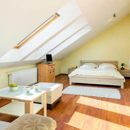 Apartmenty Szczesliwa 13 I Aramis W Centrum Apartzakop Apartment Zakopane